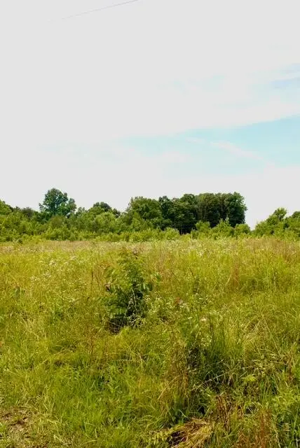 482 Friendship Lane, Delano, TN 37325 - #1