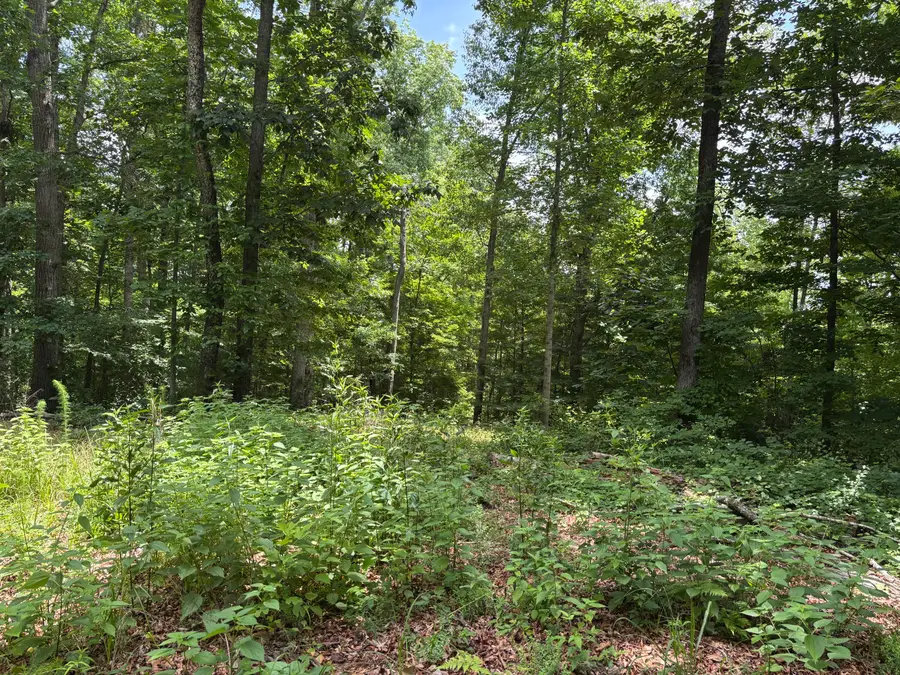 236 County Road 3, Riceville, TN 37370 - #3