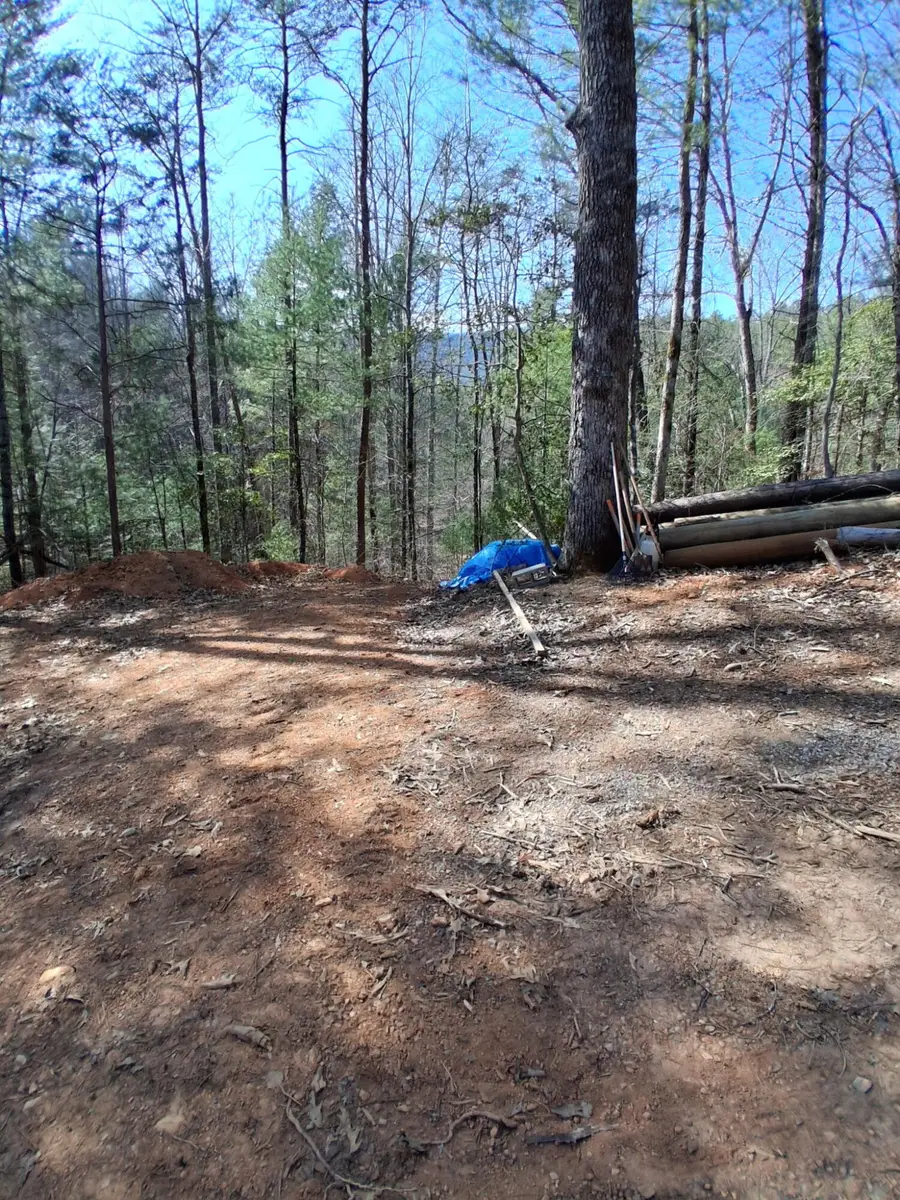 00 Tinker Branch Road, Reliance, TN 37369 - #2