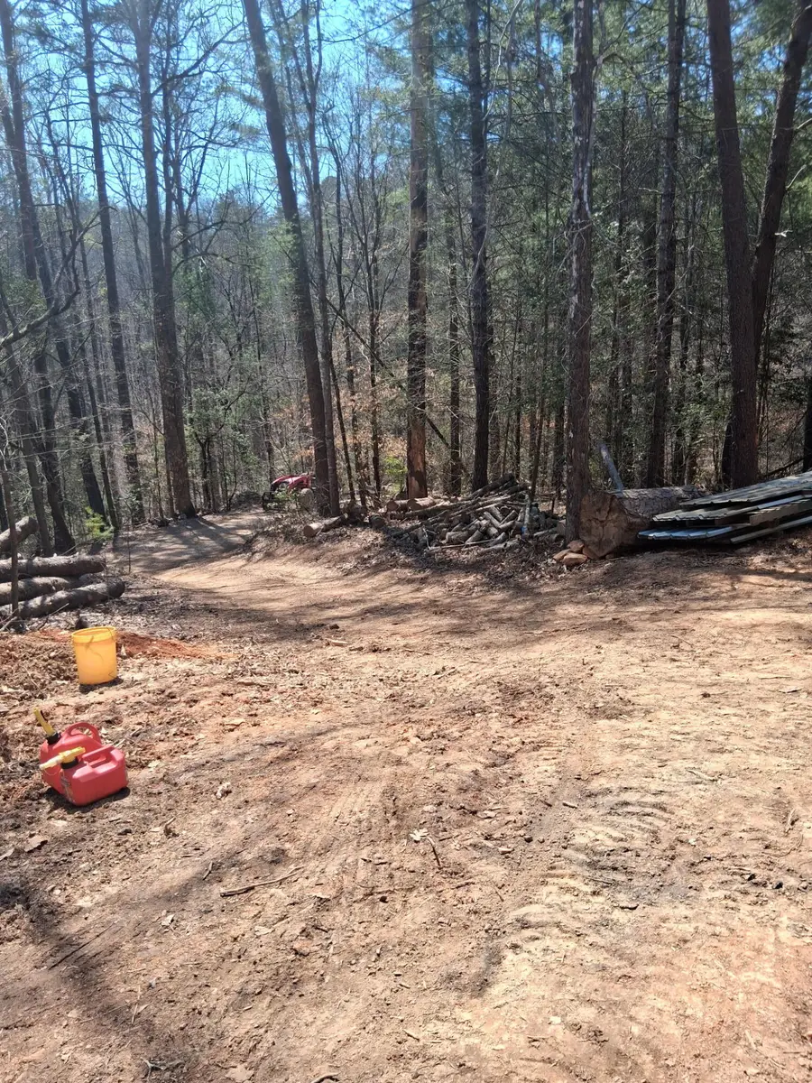 00 Tinker Branch Road, Reliance, TN 37369 - #3