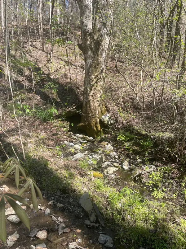 Lot 1 Old Furnace Road, Tellico Plains, TN 37385