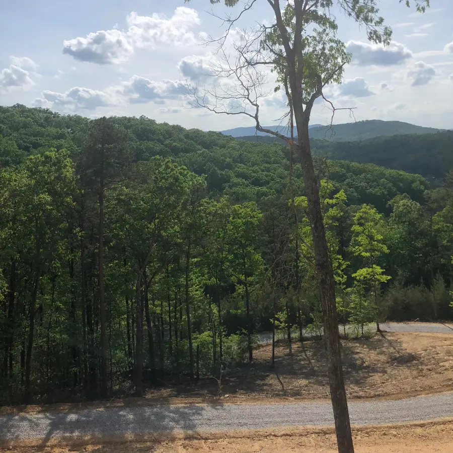 125 Indian Ridge Drive, Tellico Plains, TN 37385 - #3