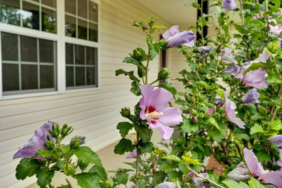 160 Monza Lane Nw, Cleveland, TN 37312 - #3