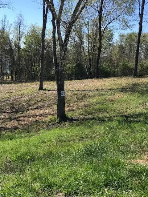 10 Piney View Drive, Spring City, TN 37381