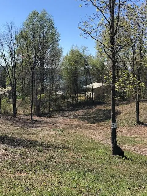 11 Piney View Drive, Spring City, TN 37381