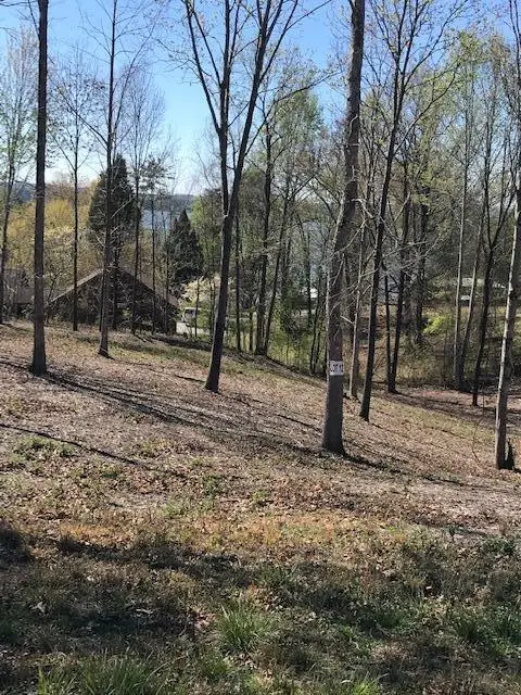 12 Piney View Drive, Spring City, TN 37381