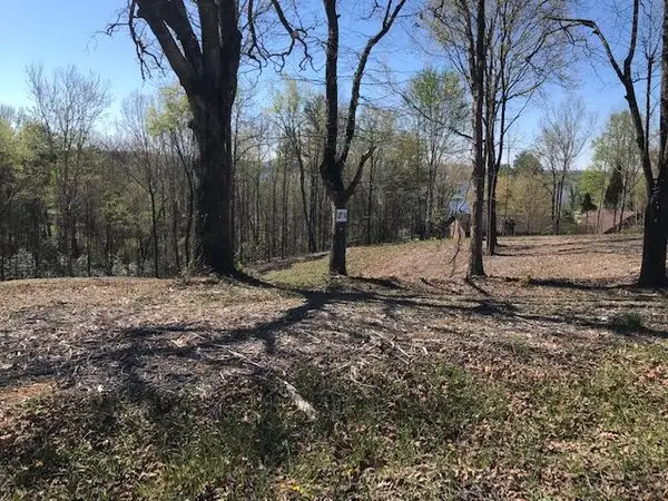 14 Piney View Drive, Spring City, TN 37381
