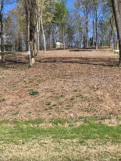 6 Piney View Drive, Spring City, TN 37381