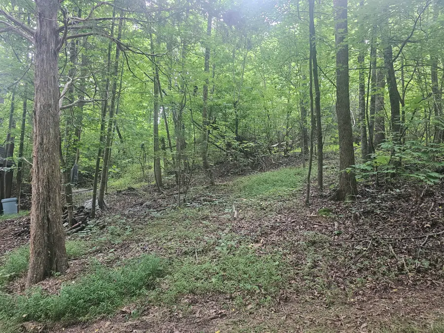 658 Corvin Road Ne, Cleveland, TN 37323 - #3