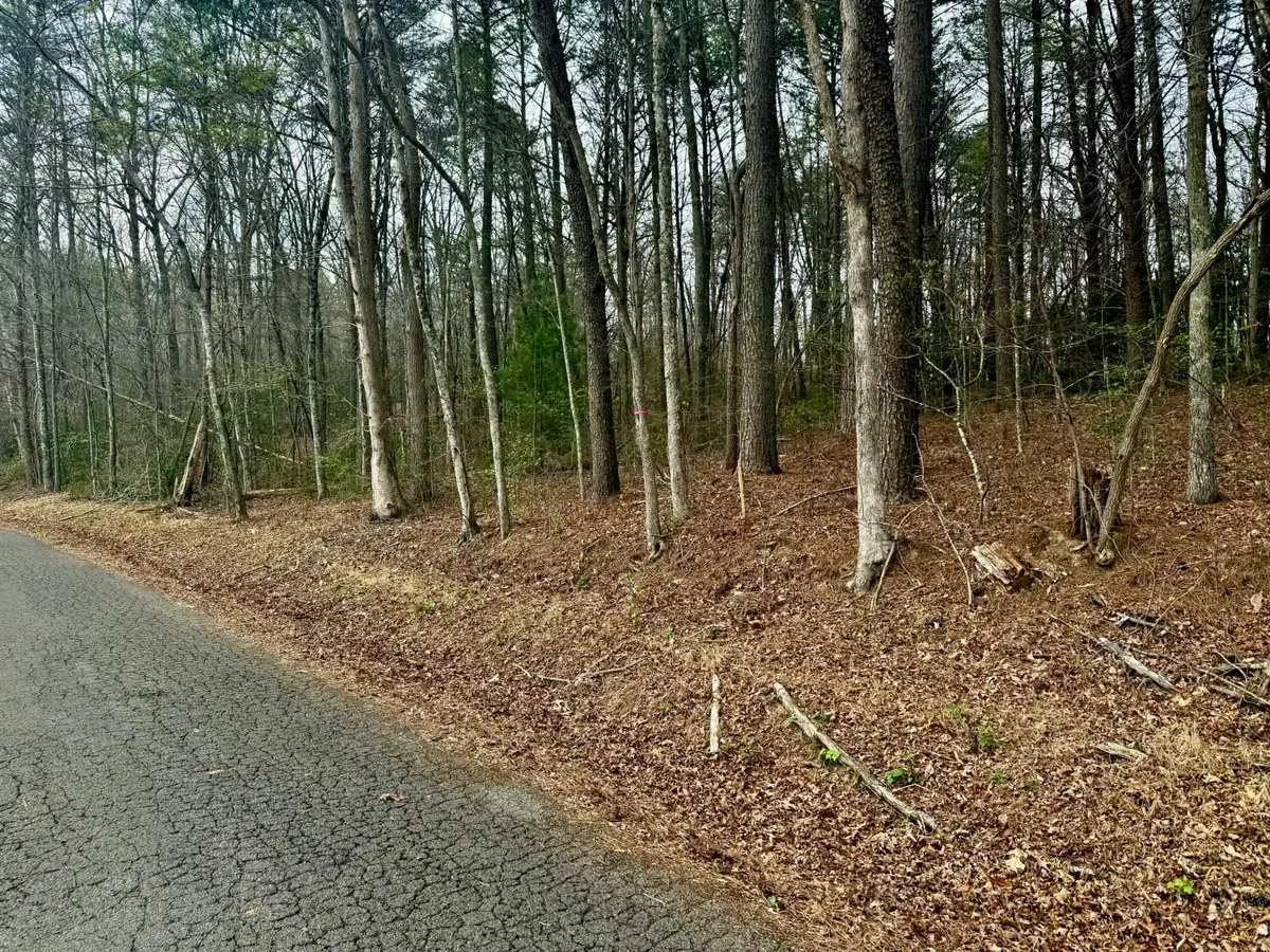 0 Tennessee 68, Turtletown, TN 37391 - #1
