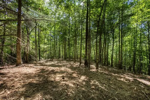 4.0 Acre Donley Road, Murphy, NC 28906
