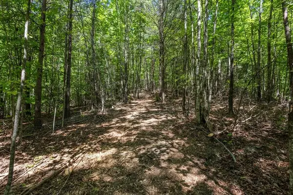 20 Acre Pack Mountain Road, Murphy, NC 28906