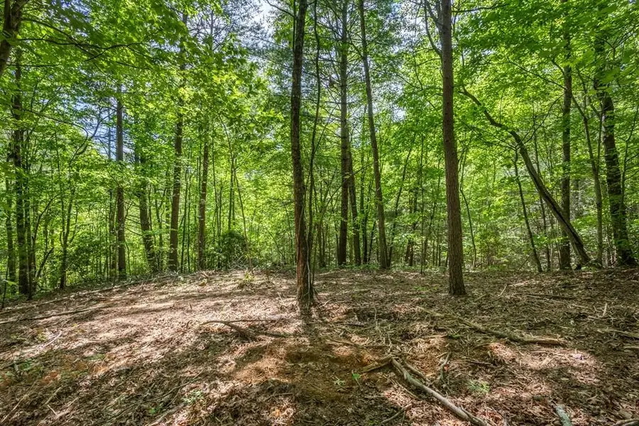20 Acre Pack Mountain Road, Murphy, NC 28906 - #2