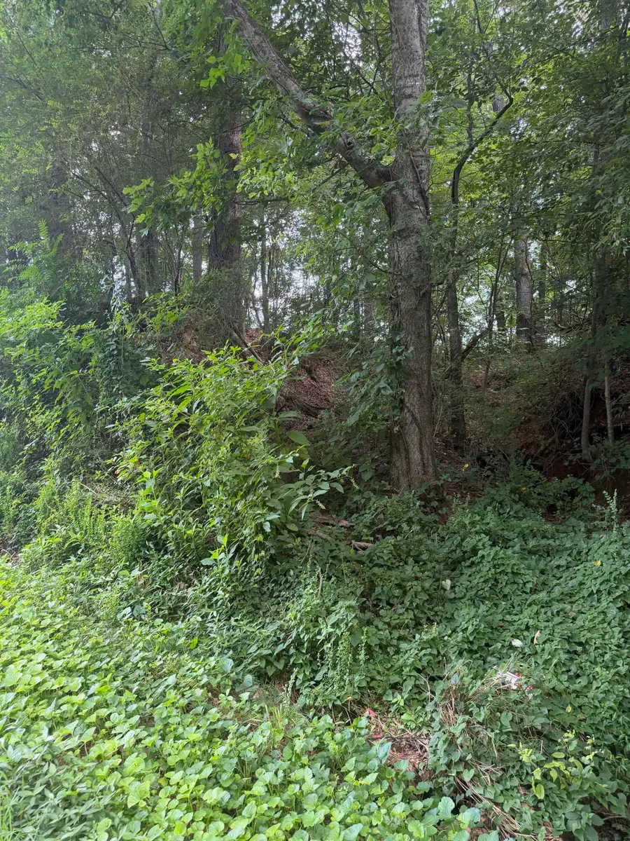 1.43 Ac Randolph Fridley Road, Sweetwater, TN 37874 - #3