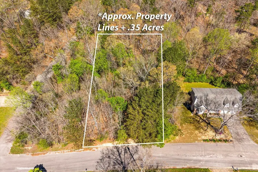 0 Fox Run Circle S, Flintstone, GA 30725 - #3
