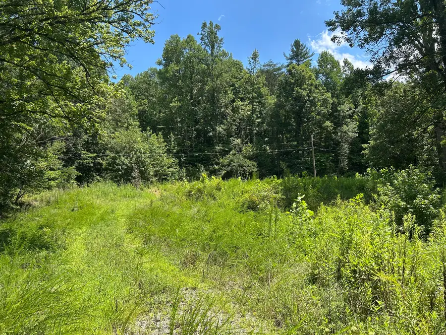 1182 Tellico Reliance Road, Reliance, TN 37369 - #3