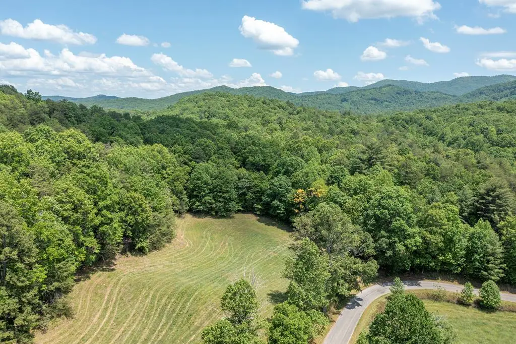 34 Ac Donley Rd Road, Murphy, NC 28906 - #1