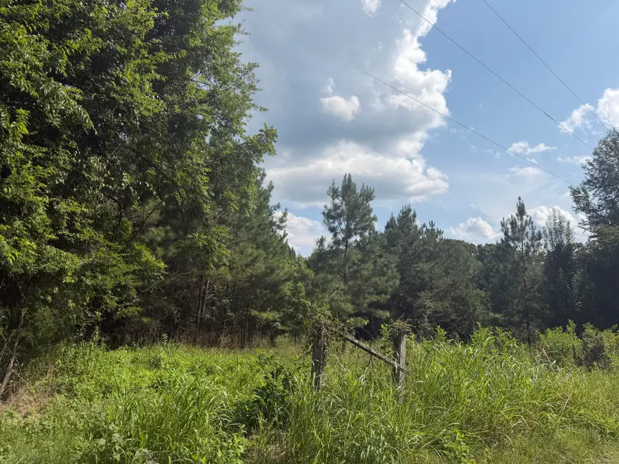 9.58 Acres County Road 4, Calhoun, TN 37309 - #3
