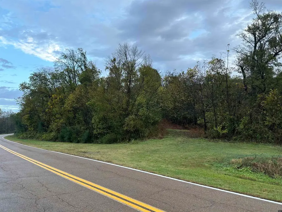 Mt Manuel Church Rd And Hwy 157, Union City, TN 38261 - Image #2