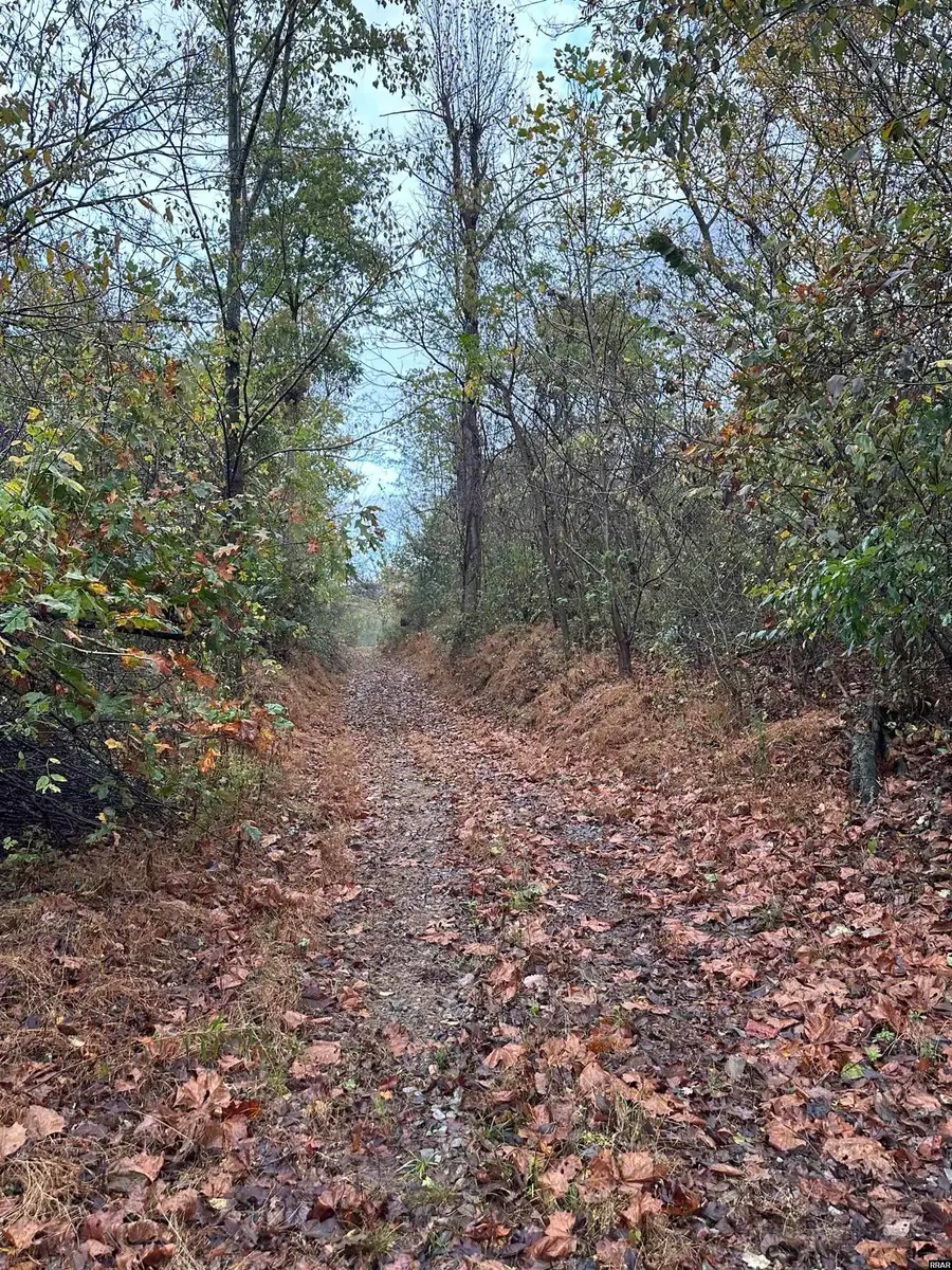 Mt Manuel Church Rd And Hwy 157, Union City, TN 38261 - Image #3