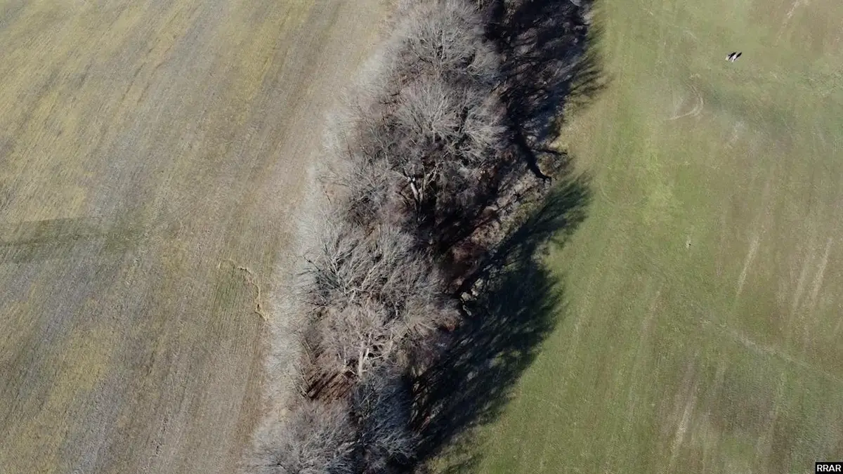 Burrus, Union City, TN 38261 - Image #1