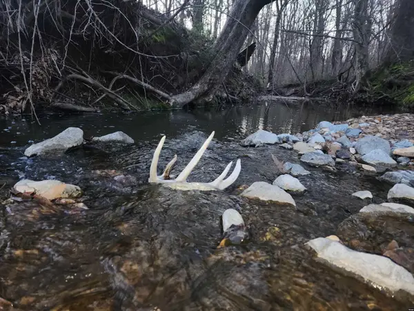 Add Osburn, Union City, TN 38261