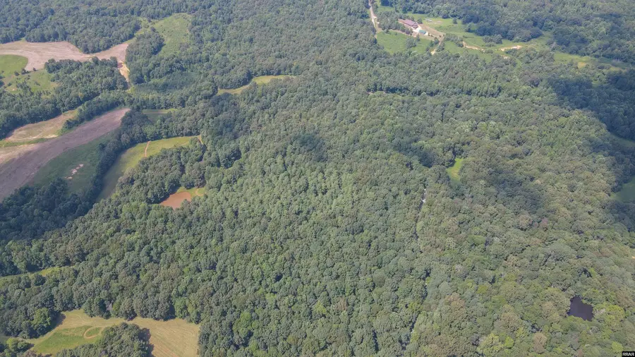 Workman Cemetary Rd, Dukedom, TN 38226 - Image #3