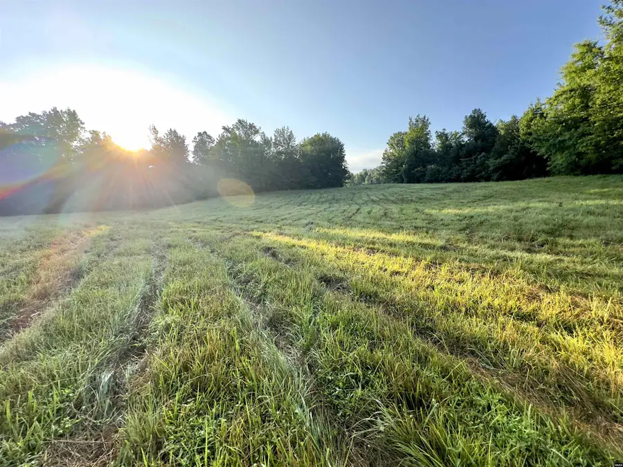 Old Latham, Dresden, TN 38225 - Image #3