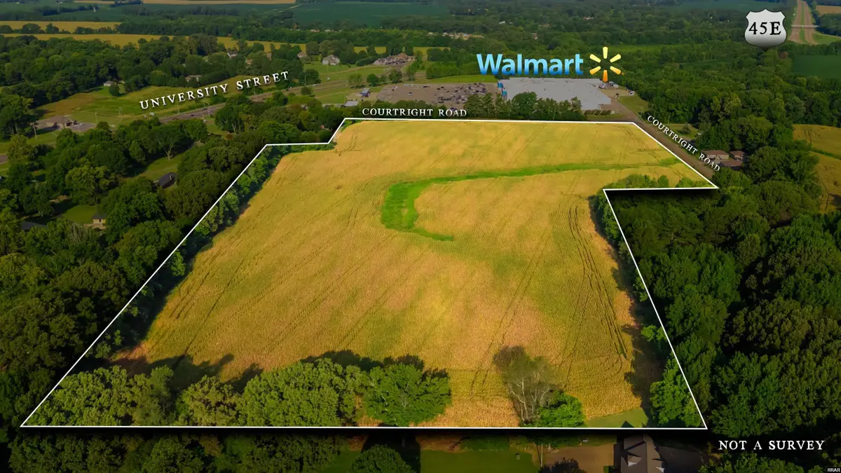 137 Courtright, Martin, TN 38237 - Image #1