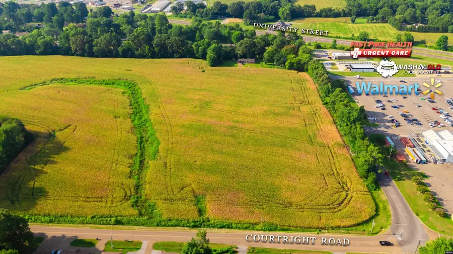 137 Courtright, Martin, TN 38237 - Image #3