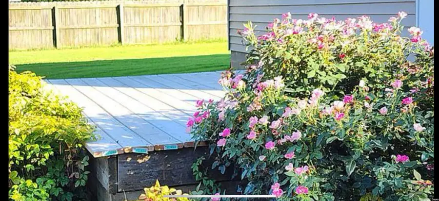 65/67 Magnolia, Tiptonville, TN 38079 - #2