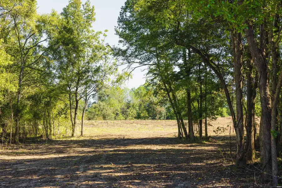 Tract 7 Hearn, Greenfield, TN 38260 - Image #3