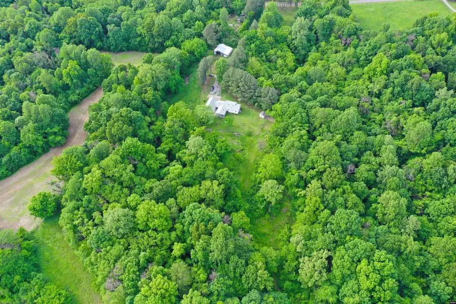 4815 Webb Store, Hornbeak, TN 38232 - #2