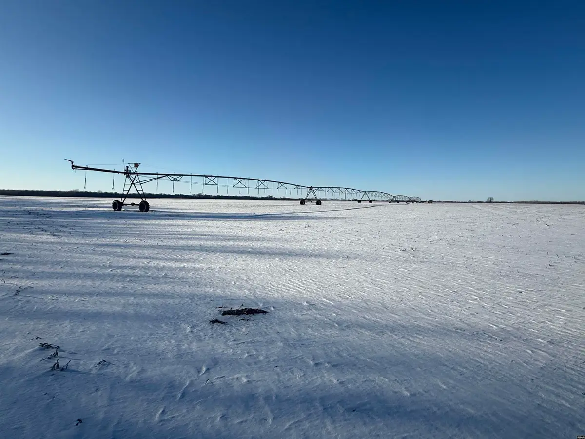 5895 Cronanville, Tiptonville, TN 38079 - #1