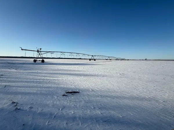 5895 Cronanville, Tiptonville, TN 38079