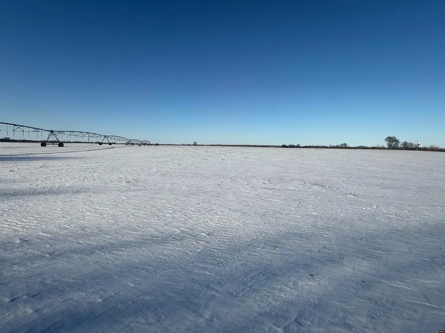 5895 Cronanville, Tiptonville, TN 38079 - #2