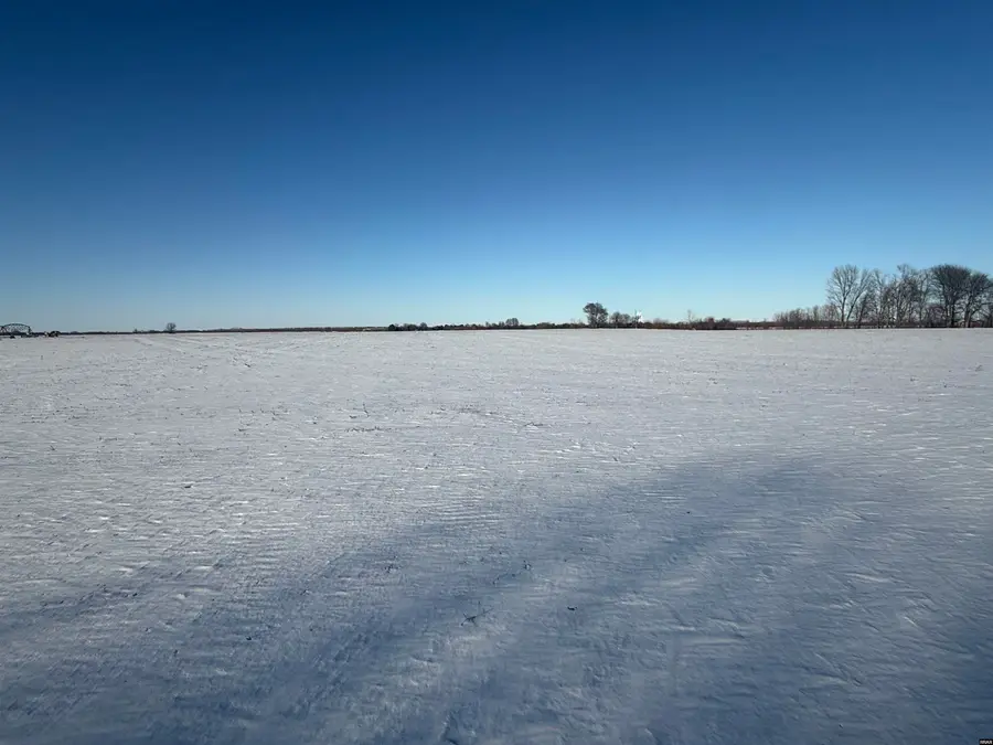 5895 Cronanville, Tiptonville, TN 38079 - #3