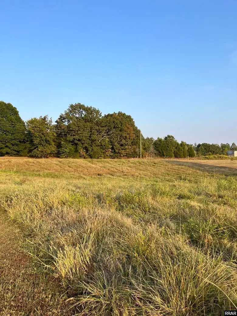 1024 White Rd., Gleason, TN 38229-0000 - #2