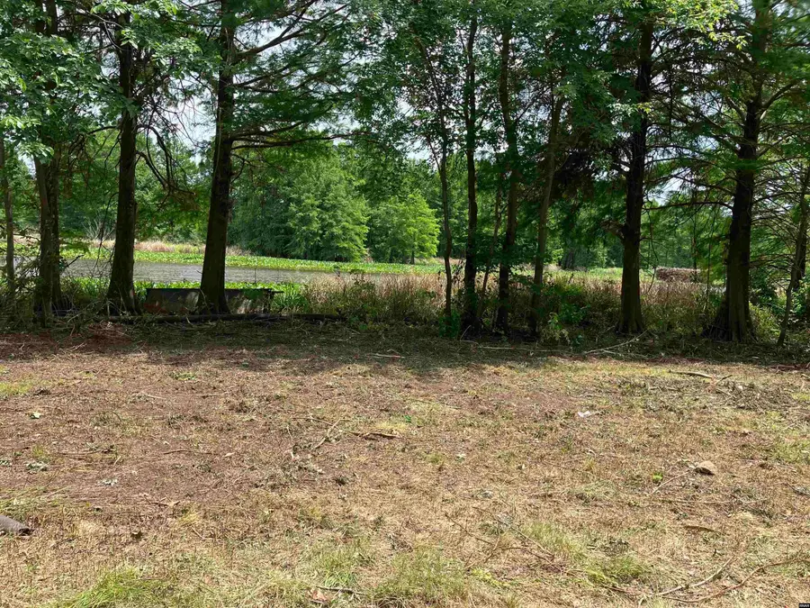 Grays Camp, Tiptonville, TN 38079 - #3