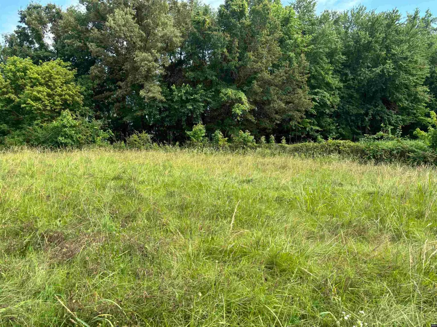 00 Us Hwy 45/dixon Rd., Fulton, KY 42041 - #3