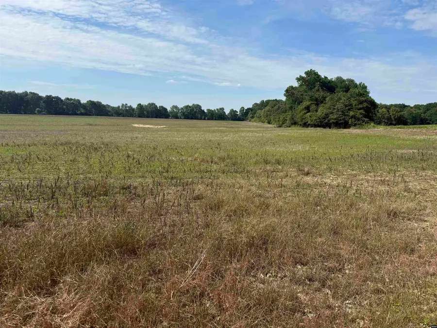 Pierce, Union City, TN 38261 - #2