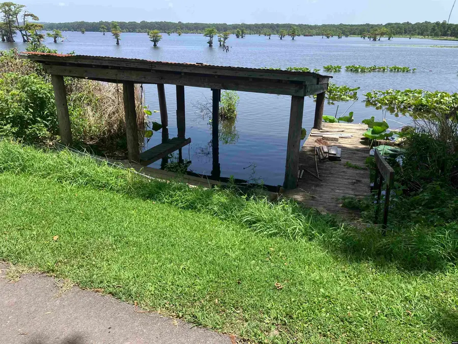 130 Grays Camp, Tiptonville, TN 38079 - #3