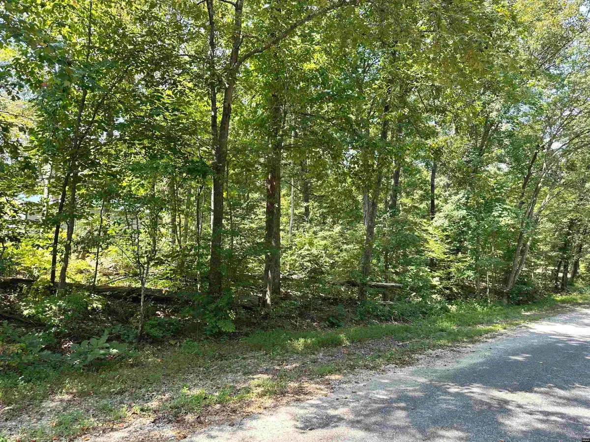 0 Otts, Buchanan, TN 38222 - #1