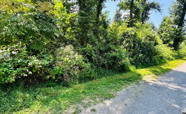 0 Bream, Buchanan, TN 38222