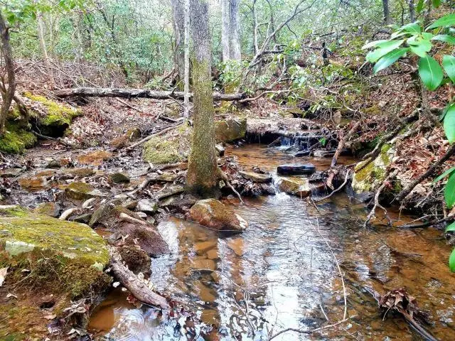 0 Oesterman Drive, Monterey, TN 38574 - Image #1