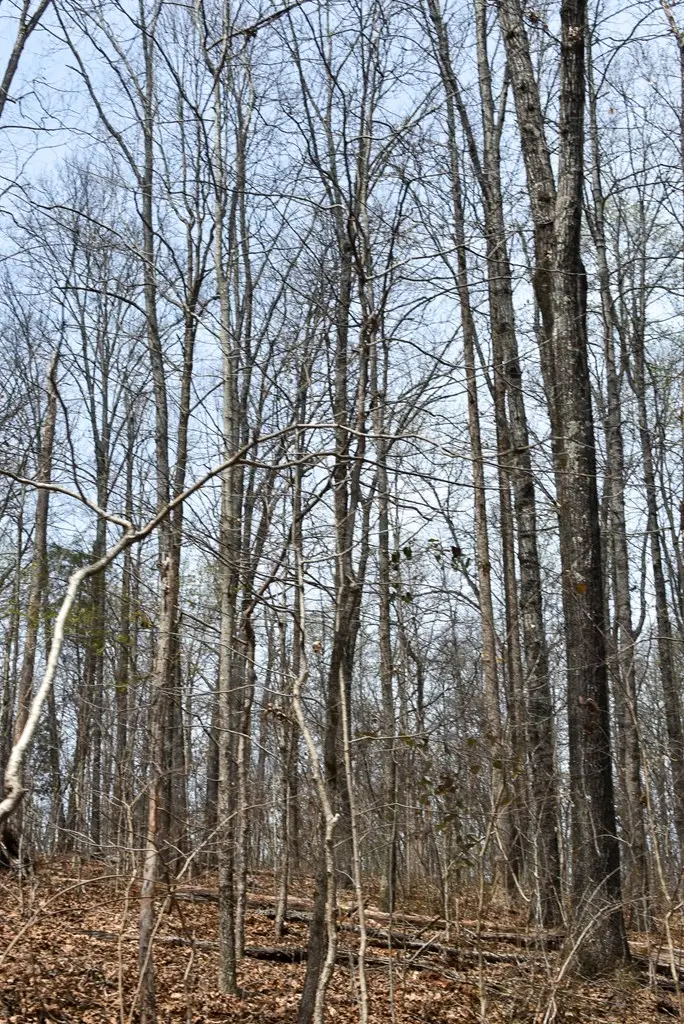 0 County Road 29, Cleveland, TN 37370 - Image #3