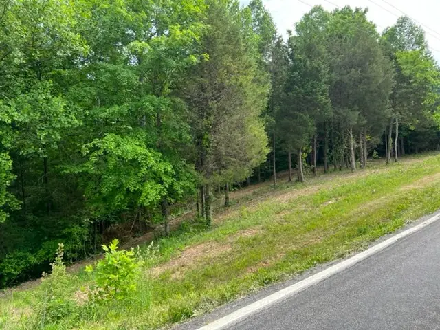 Lot 3 Willow Grove Hwy, Allons, TN 38541 - Image #2