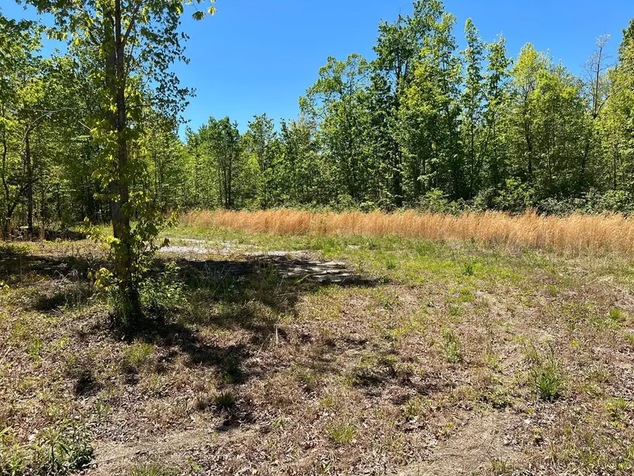 Lot J Mccartt Ridge Ln, Sunbright, TN 37872 - Image #3