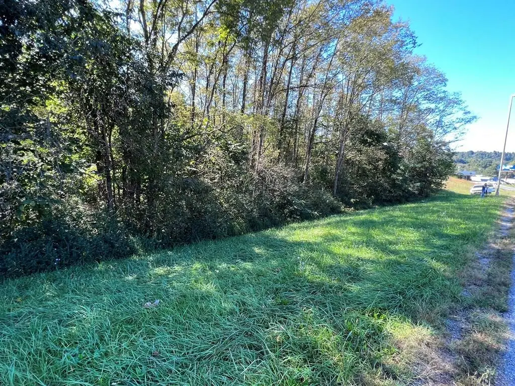 4.12 AC Hwy 42 Bypass/tulip Ave, Byrdstown, TN 38549 - Image #1