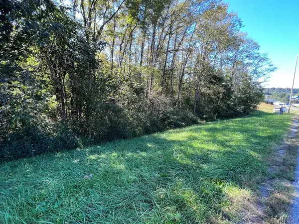 4.12 AC Hwy 42 Bypass/tulip Ave, Byrdstown, TN 38549